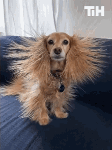 Static Hair This Is Happening GIF - Static Hair This Is Happening Bad Hair Day GIFs