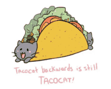 Taco Cat Tacos GIF - Taco Cat Tacos Cat GIFs