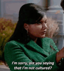 I'M Sorry Are You Saying That I'M Not Cultured GIF - Mindy Kaling Mindy Lahiri Culture GIFs