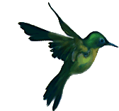 Parabens Bird Sticker - Parabens Bird Green Stickers