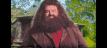 Hagrid Millionaire GIF - Hagrid Millionaire Swagrid GIFs