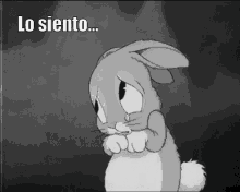 Conejo Llorar Lágrimas Lo Siento GIF - Thumper Sad Bambi GIFs