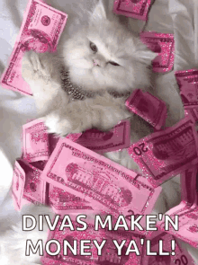 Swag Cat GIF - Swag Cat Money GIFs