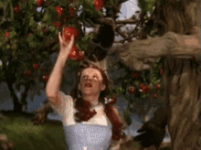 Apple Picking GIF - Wizard Of Oz Dorothy Apple Picking GIFs