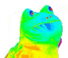 Rainbow Frog GIF - Rainbow Frog GIFs