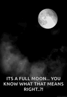 Full Moon Night GIF - Full Moon Night You Know What That Means Right GIFs