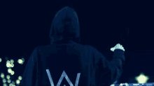 dj alan walker the spectre concert playing music dj alan walker the spectre concert playing music
