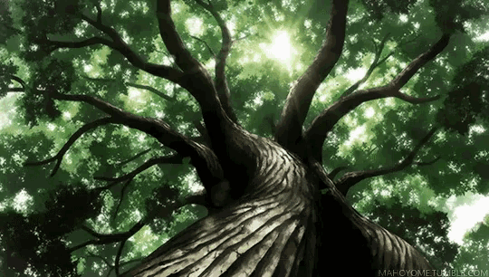 The Ancient Magus Bride Tree GIF - The Ancient Magus Bride Tree Leaves -  Discover &amp; Share GIFs
