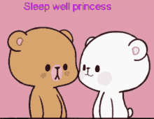 Sleep Well Princess GIF - Sleep Well Princess Komal GIFs