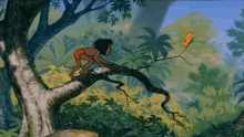 The Jungle Book Jungelboken GIF - The Jungle Book Jungelboken Disney GIFs