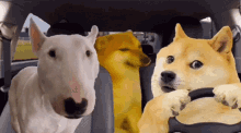 Doge Dogs GIF - Doge Dogs Dog GIFs