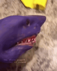 Shark Puppet Thanos GIF - Shark Puppet Thanos Shark Week GIFs
