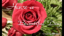 Have A Beautiful Day Rose GIF - Have A Beautiful Day Day Rose GIFs