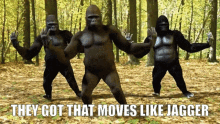 mokey monkey monkey dance dancing monkey monkey dancing