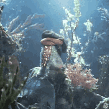 underwater mermaid