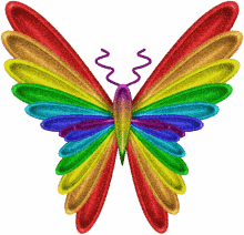 borboleta butterfly beautiful rainbow color glitters
