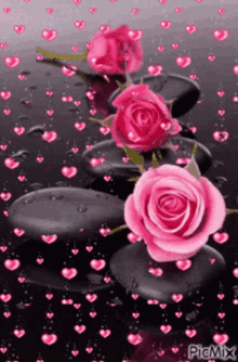 Rose Petals GIF - Rose Petals Falling GIFs