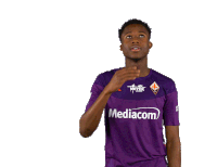 Acf Fiorentina Viola Sticker - Acf Fiorentina Fiorentina Viola Stickers