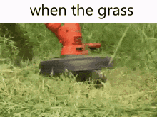 Grass When The Grass GIF - Grass When The Grass Mowing Grass GIFs