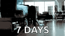 the ring crawling out of the tv 7days