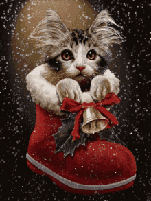 Santa Cat GIF - Santa Cat Bell GIFs