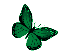 Butterfly Green Sticker - Butterfly Green Monarch Stickers