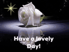 Lovely Day GIF - Lovely Day GIFs