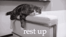 Cat Rest Up GIF - Rest Up Rest Tired GIFs
