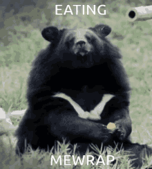 Bear Bear Eating GIF - Bear Bear Eating Eating GIFs