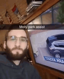 molly park assist parking
