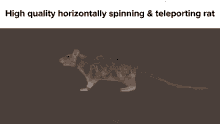 horizontally spinning