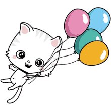 toofiothe cat balloons white cat hbd birthday