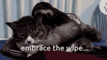 Wipe Embrace The Wipe GIF - Wipe Embrace The Wipe Deepwoken GIFs