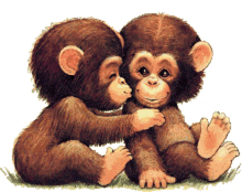 kiss me monkey cute animals love