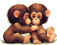 Kiss Me Monkey Sticker - Kiss Me Monkey Cute Stickers