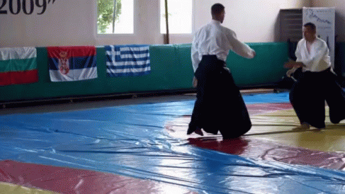 aikido-demonstration.gif