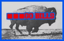 Buffalo Bills GIF - Buffalo Bills GIFs