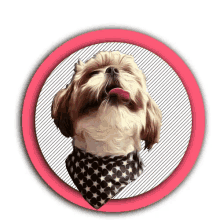 Cute Dog Adorable GIF - Cute Dog Adorable Bandana GIFs