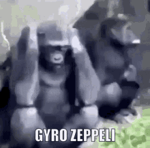 Gyro Gyro Zeppeli GIF - Gyro Gyro Zeppeli Jojo GIFs