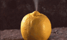 Lemon Fruit GIF - Lemon Fruit Explode GIFs