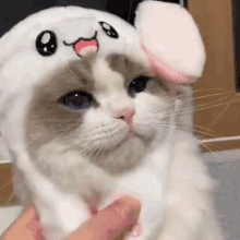 Itzy Ryujin Cat GIF - Itzy Ryujin Itzy Cat GIFs