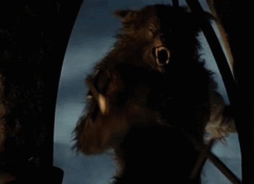 Werewolf Middle Finger GIF - Werewolf Middle Finger Cursed - Discover &...