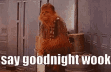 Wook Wookie GIF - Wook Wookie Goodnight Wook GIFs