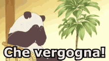 Che Vergogna Vergognarsi Arrossire Nascondersi Panda GIF - What A Shame Be Ashamed Blush GIFs