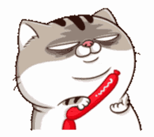 ami fat cat mad angry come here