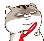 Ami Fat Cat Mad Sticker - Ami Fat Cat Mad Angry Stickers