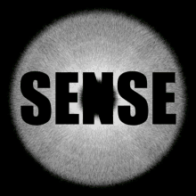 Sense Journal GIF - Sense Journal Sense GIFs