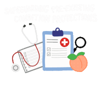 Safeguarding Preexisting Condition Protections Ballot Sticker - Safeguarding Preexisting Condition Protections Ballot Georgia Ballot Stickers