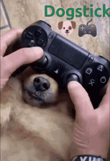 Dogstick Dog Joystick GIF - Dogstick Dog Joystick Gamer Dog GIFs