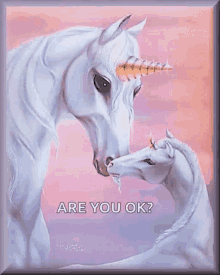 Are You Ok Unicorn GIF - Are You Ok Unicorn White GIFs